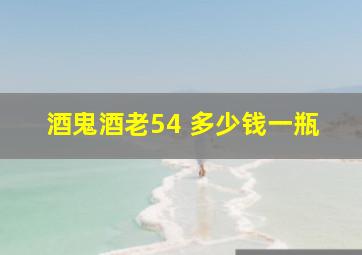 酒鬼酒老54 多少钱一瓶